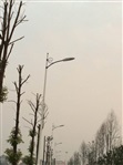湖南汨羅201線(xiàn)中國(guó)結(jié)景觀(guān)亮化1
