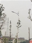 湖南汨羅201線(xiàn)中國(guó)結(jié)景觀(guān)亮化10